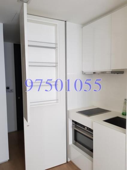 Skysuites@Anson (D2), Apartment #153286892